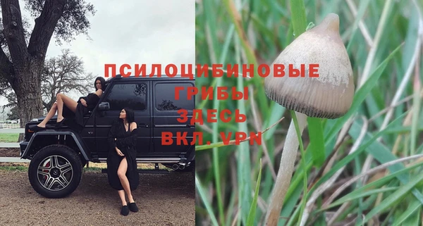 марки nbome Беломорск