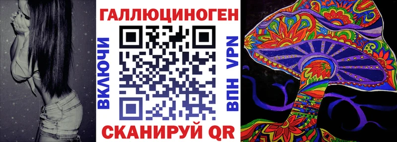 Купить закладки  Чапаевск  Псилоцибиновые грибы GOLDEN TEACHER 